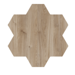 GEO2-B FioriⒹ