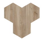 GEO2-B IllusionⒹ