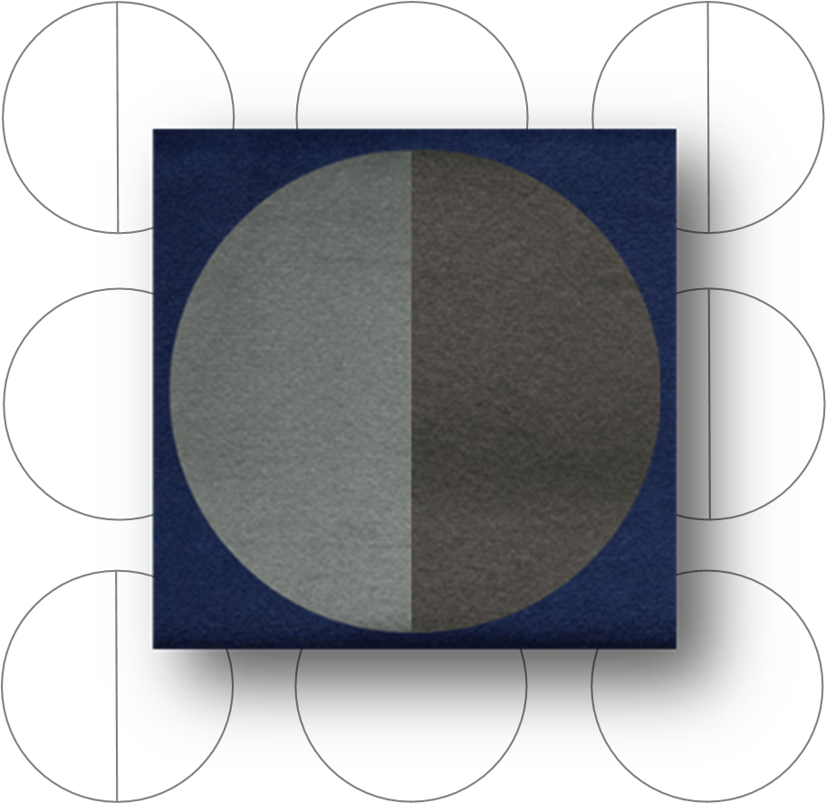 THE MOON