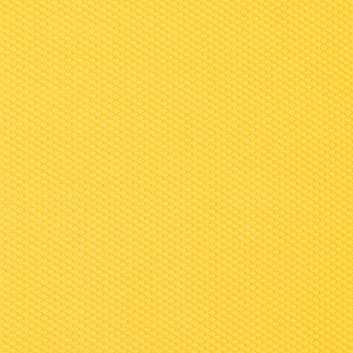 Vis